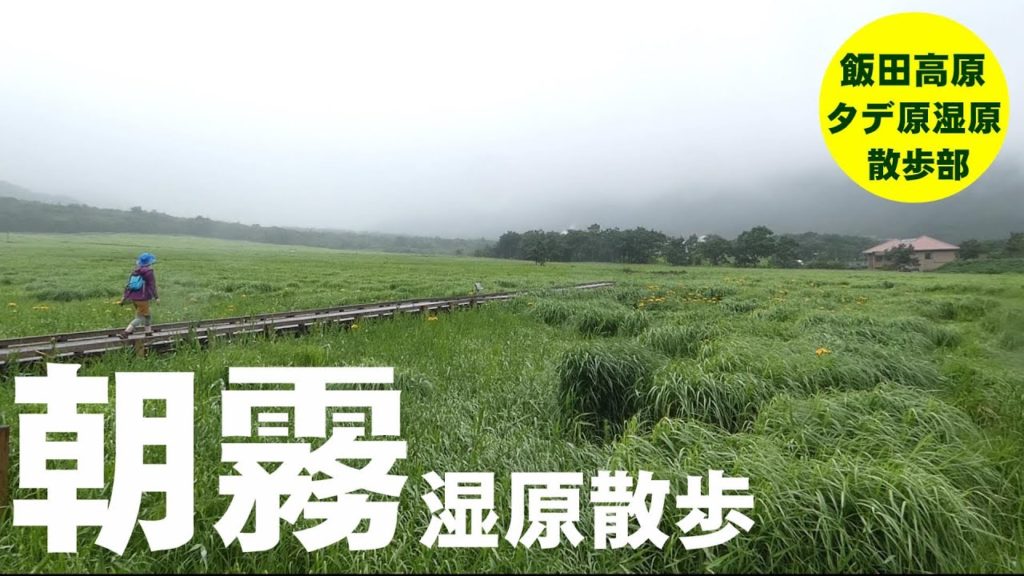 【トレッキング】森林散策と静かな時間 - 朝霧に包まれるタデ原湿原 Walking Around Tadewara Shitsugen【タデ原湿原散歩部】