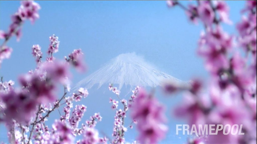 Sakura, Sakura - Hanami around Mount Fuji | Framepool