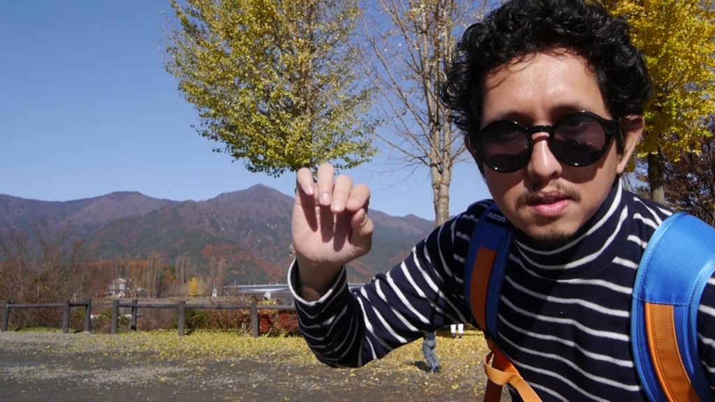 Trainspotting to Mt. Fuji, Japan !