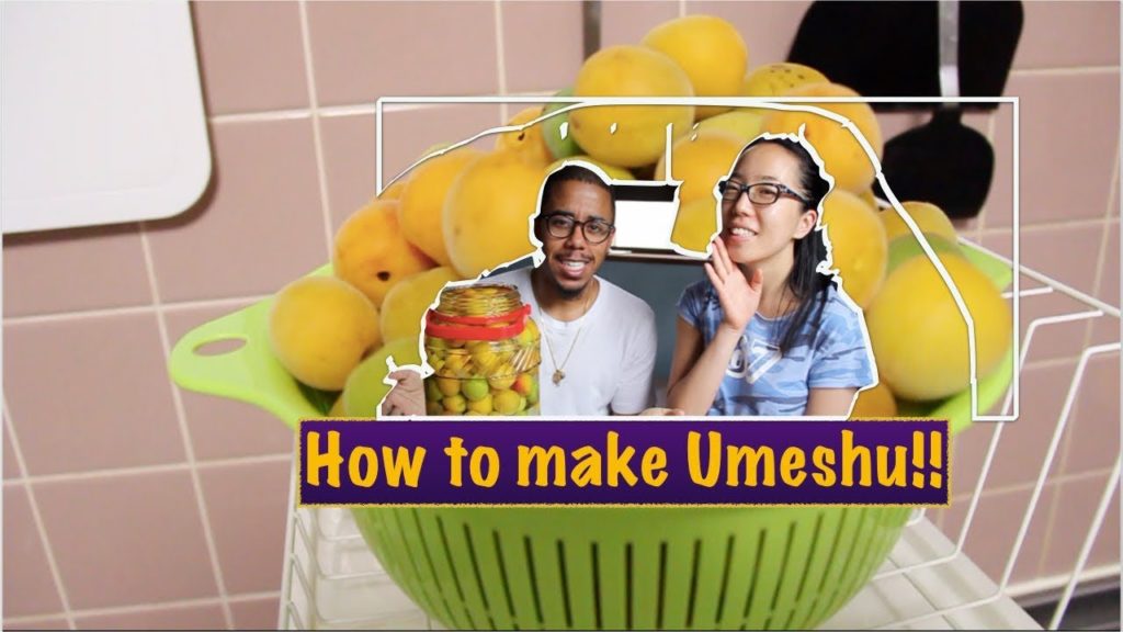 DYI: How to Make Umeshu (V.33) DYI: How to Make Umeshu (V.33)