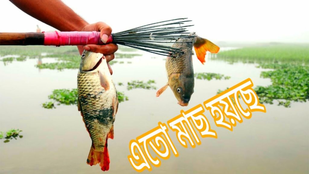 টেটা দিয়ে মাছ ধরার মজা কেমন না ধরলে বুঝবেন না ৷ famansor travel | Best Fishing Video | Fishing
