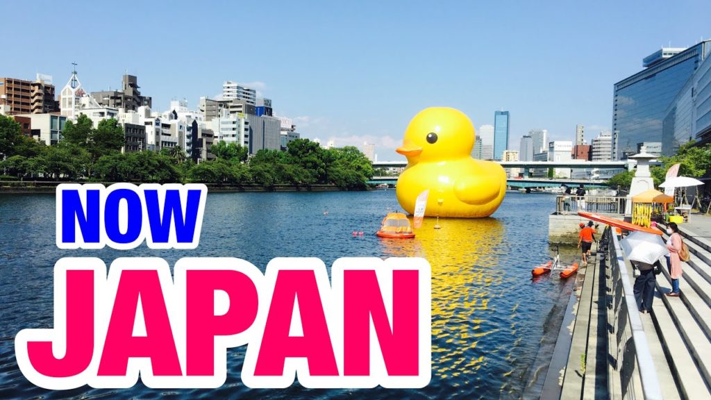 【Rubber Duck Hachikenyahama Okawa river】Saturday August 2020 「osaka morning 264 JAPAN」 virtual trip