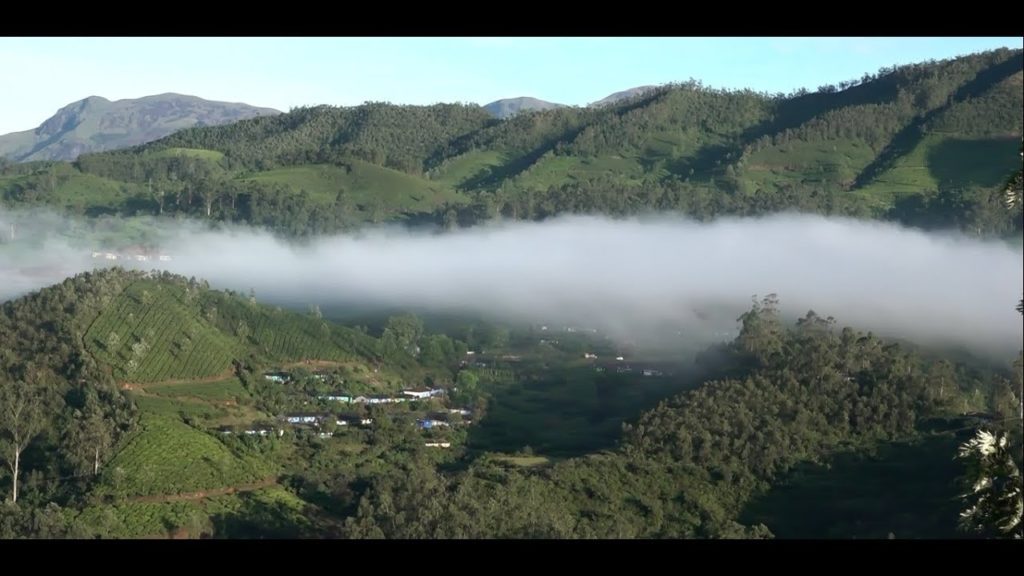 Munnar Hill Station - Crowning Jewel Of God's Own Country, Kerala !!!