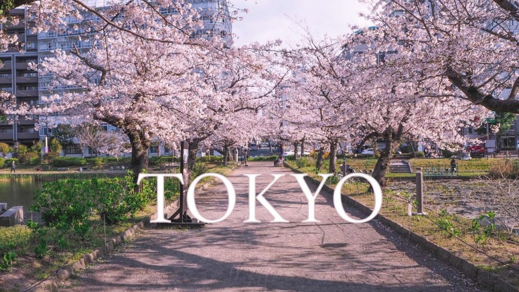 I gifted my mother one week in Tokyo, Japan.