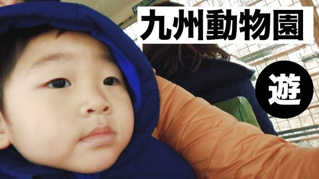 [ 日本九州動物園 ] 大象的舌頭 | 獅子 老虎 斑馬 | 九州親子遊 DAY 3