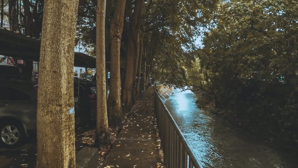 Walking in Heavy Thunderstorm along the river in New Taipei, TAIWAN.(Rain and Umbrella Sounds)中永和瓦磘溝