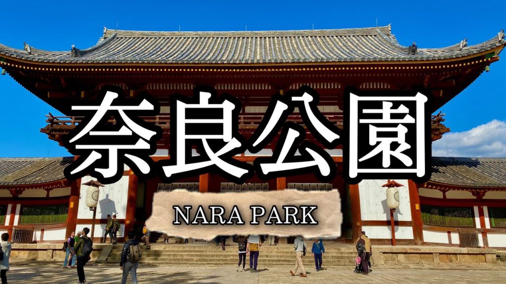 Birthday Celebration at Nara Park | Vlog#2