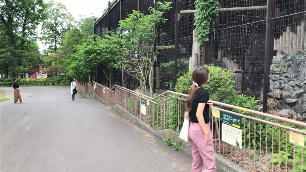 Walking in the Zoo in Sapporo, Japan | Maruyama Zoo | 札幌市円山動物園 | Mysterious Fahad Walking in the Zoo in Sapporo, Japan | Maruyama Zoo | 札幌市円山動物園 | Mysterious Fahad