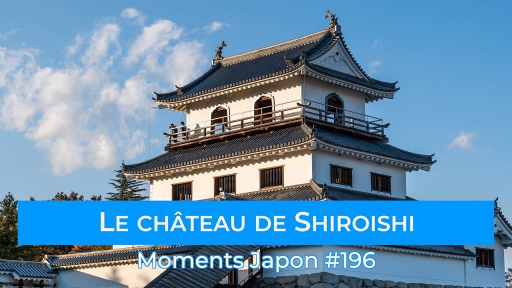 #196 Le château de Shiroishi
