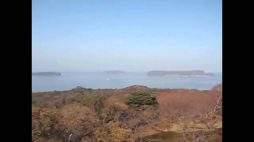 Japan trip MOUNT KASAYAMA wonderful sight 25,000 camellias in early spring Hagi, Japan, Yamaguchi023