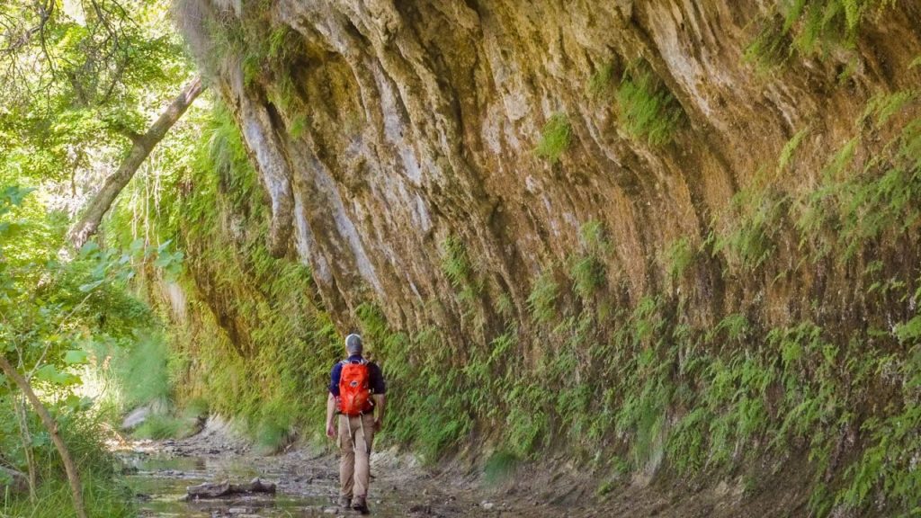 Solo Hiking in the Texas Heat | Lost Maples State Park