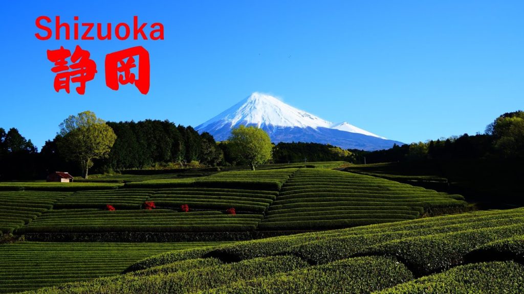 Japan Travel 4K【#04-2 静岡 / Shizuoka】旅行 癒し 自然絶景 空撮 名言 ドローン Drone Nature Quotes（春 / Spring）