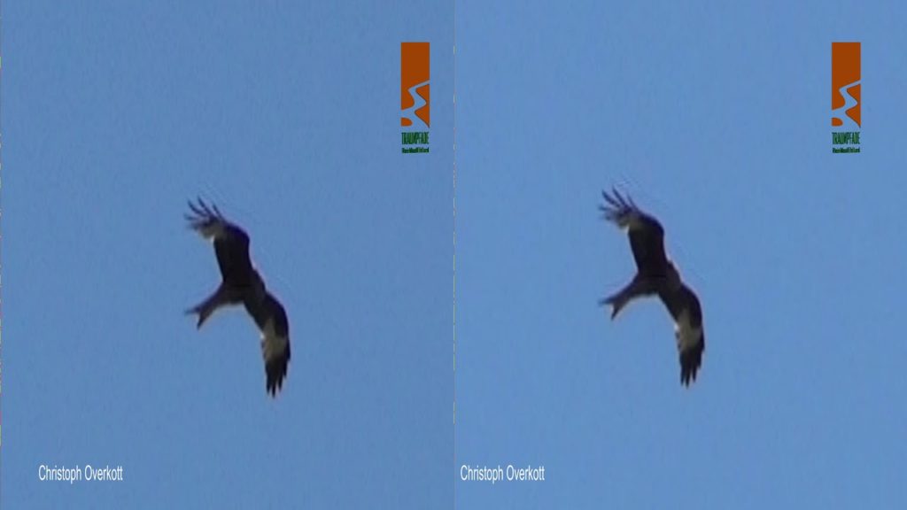 3D video - Traumpfad: Hatzenporter Laysteig - 4K UHD 3D SBS VR TV