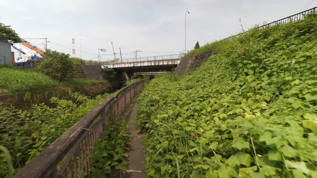 【4K】Walking at Wako city with cicada sounds and flying over Aya lake