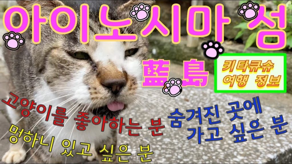 4K【아이노시마 섬・기타큐슈 여행】고양이를 좋아하는 분・숨겨진 곳에 가고 싶은 분・멍하니 있고 싶은 분【藍島・北九州観光】猫好きな人向け・定番観光地に飽きた人向け・ぼーっとしたい人向け