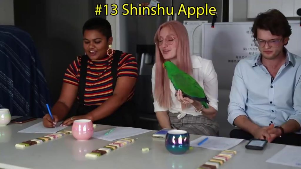 I BOUGHT EVERY SINGLE KIT KAT FLAVOUR IN JAPAN!!! TASTE TESTING 32 DIFFERENT KIT KAT FLAVOURS 2020