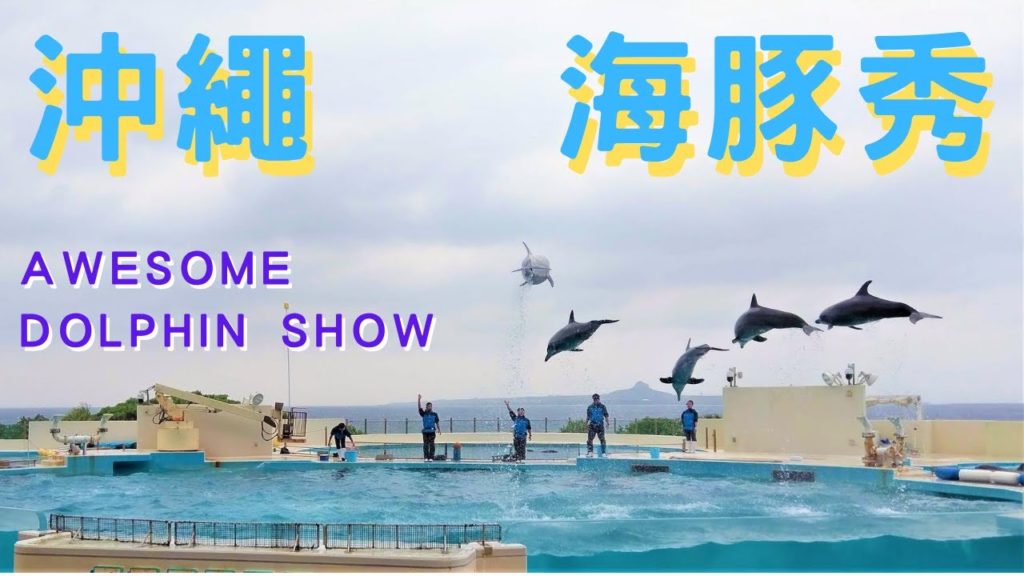 ◤ 日本 沖繩 ◢ 美麗海水族館海豚秀 Awesome Dolphin Show in Okinawa, Japan ◤ 日本 沖繩 ◢ 美麗海水族館海豚秀 Awesome Dolphin Show in Okinawa, Japan