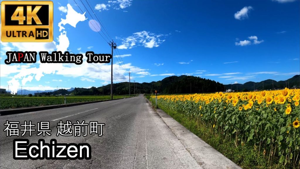 Echizen, FUKUI | summer 2020 | 福井県越前町