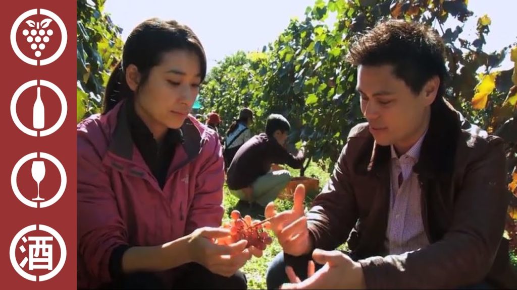 Japanese Wine - Meet Ayana Misawa - Grace Wines