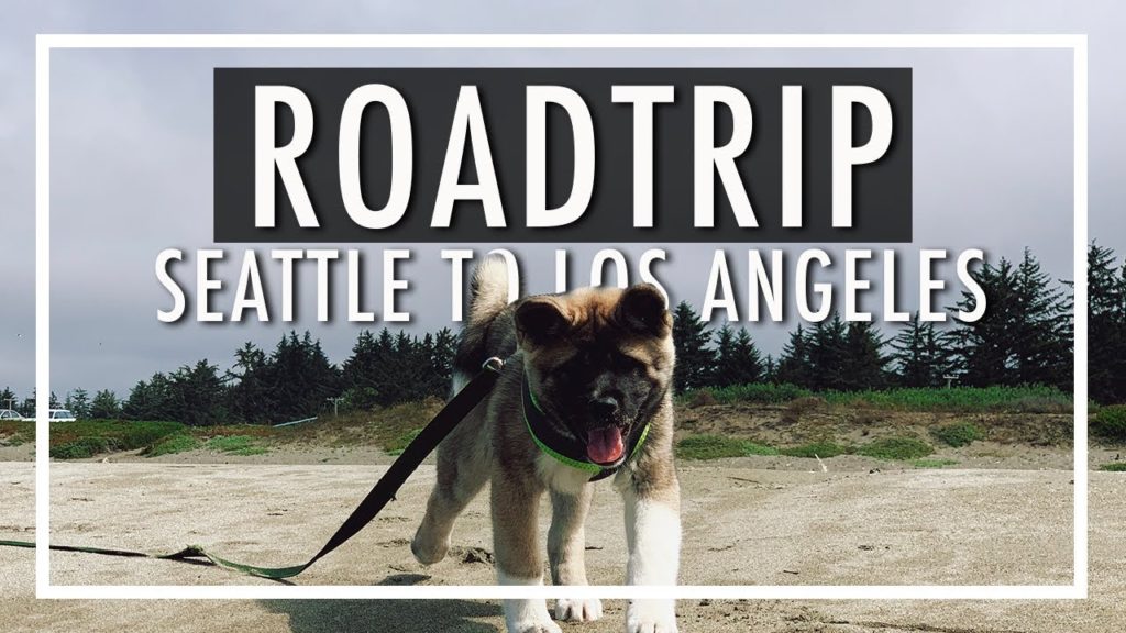KOA'S FIRST ROAD TRIP | Seattle to Los Angeles | Akita