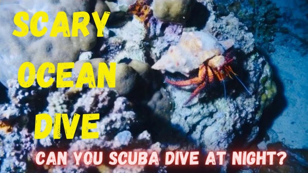 Night Dive At Mactan Island, Cebu | Scuba Diving