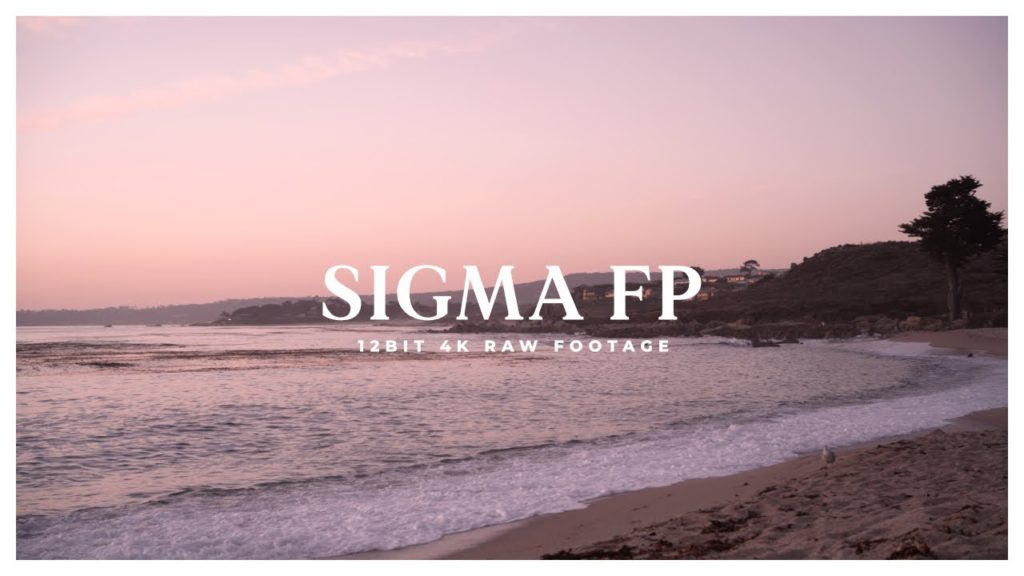 Sigma FP | 4K 12BIT RAW | Monastery Beach, CA
