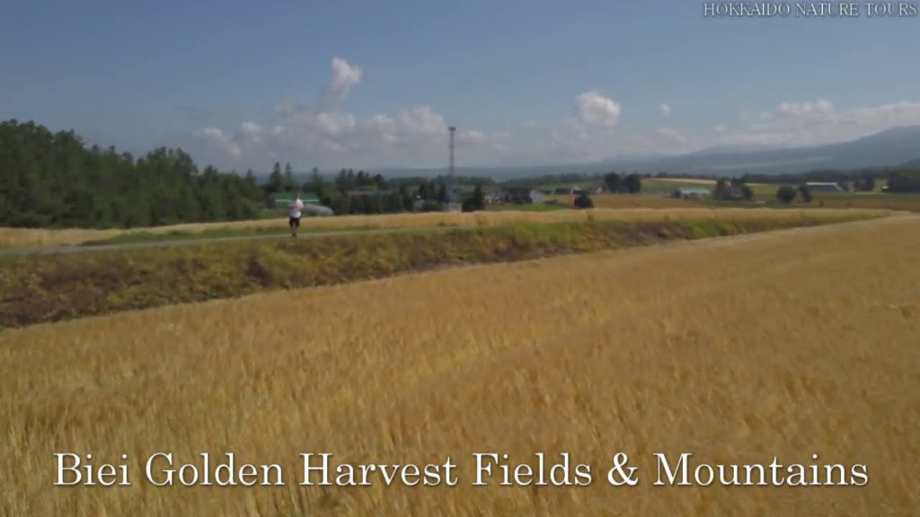HNT Drone Flight over Biei Golden Harvest Fields & Mountains