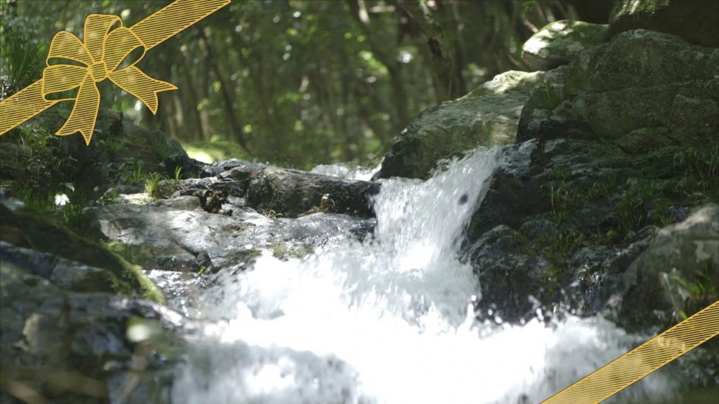 たたみかける涼感　七重の滝/GIFT北九州（令和2年８月11日放送）