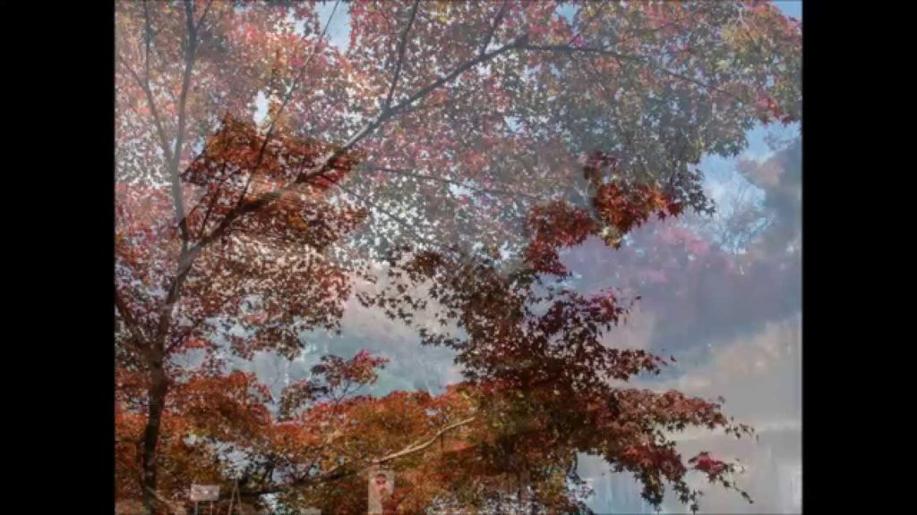 A short trip to Kyoto, Nov 25, 2011