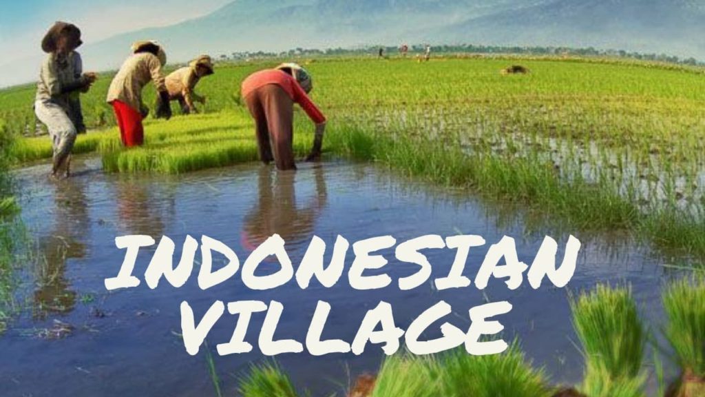 KÖY EVINDE BIR GÜN GEÇIRMEK KÖY EVINDE BIR GÜN GEÇIRMEK