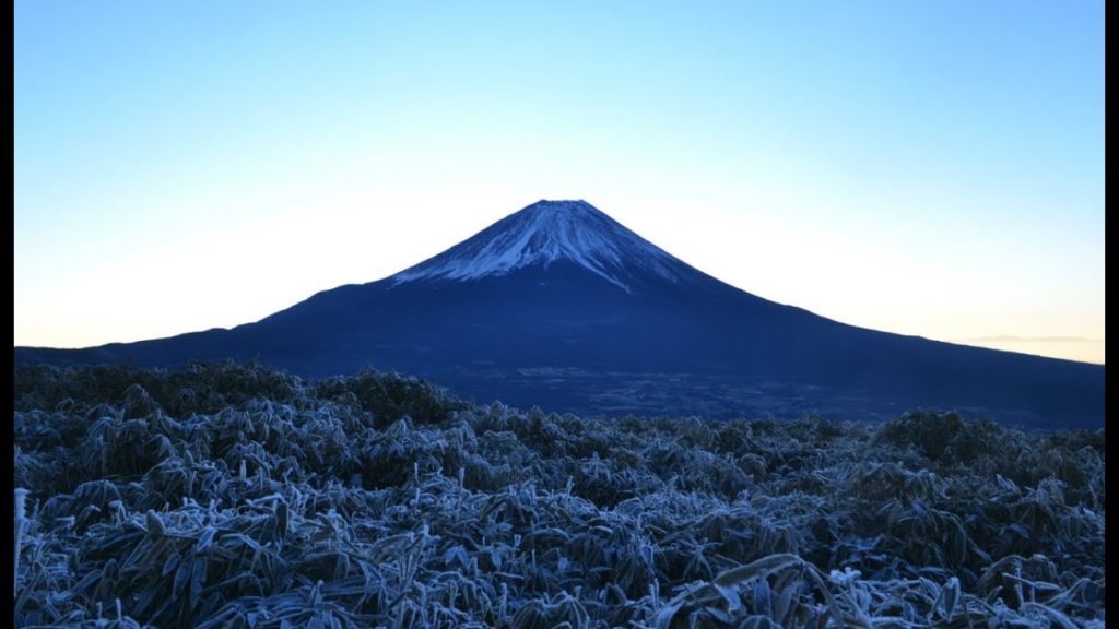 Mister Rools goes off to Sagamiko Lake & snippets of Mt Fuji Mister Rools goes off to Sagamiko Lake & snippets of Mt Fuji