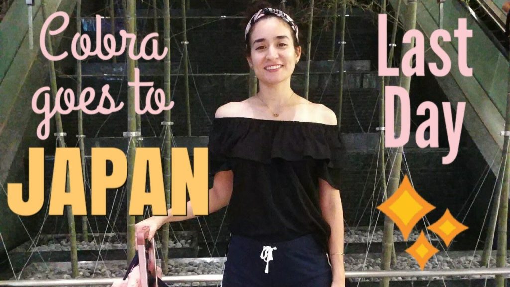 Cobra's Last Day in Japan (5th Part)