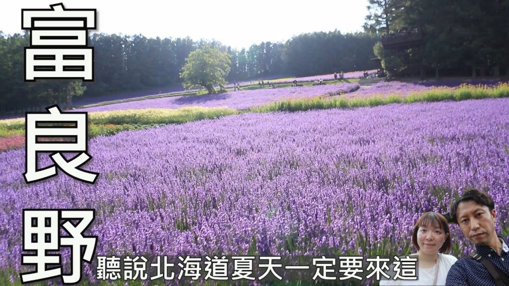 [北海道自由行]富良野最新!來放鬆看看薰衣草吧Hokkaido Furano富田ファームラベンダー