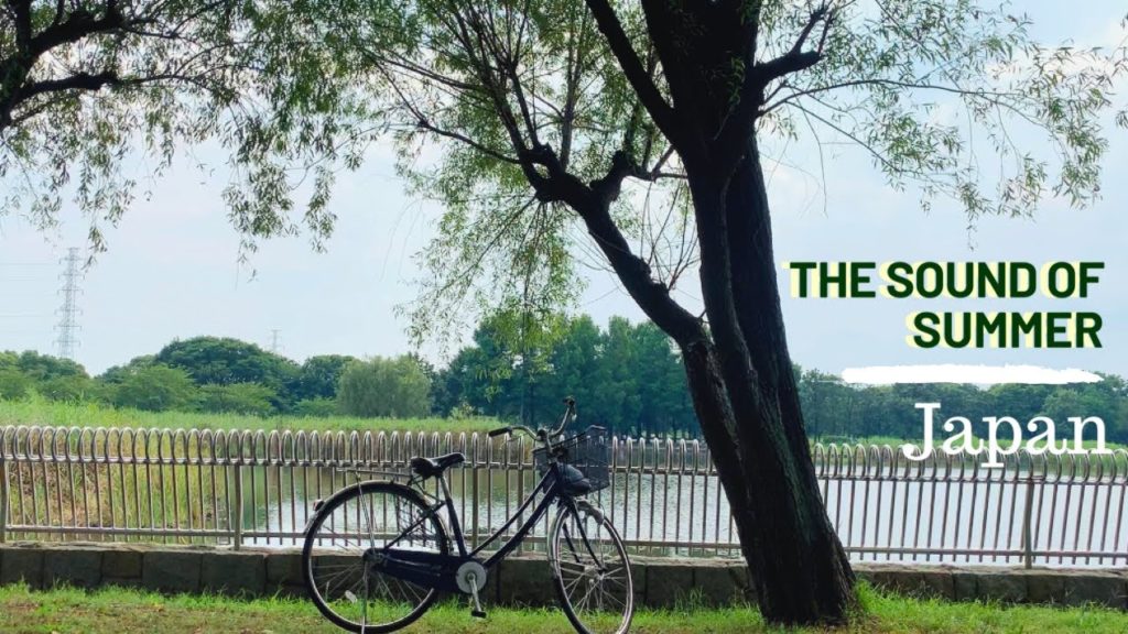 THE SOUND OF SUMMER IN JAPAN | Toneri Park, Tokyo | Japan Vlog