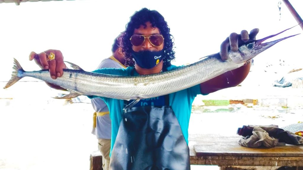 Hound Fish Cutting | Fish Cutting Skills