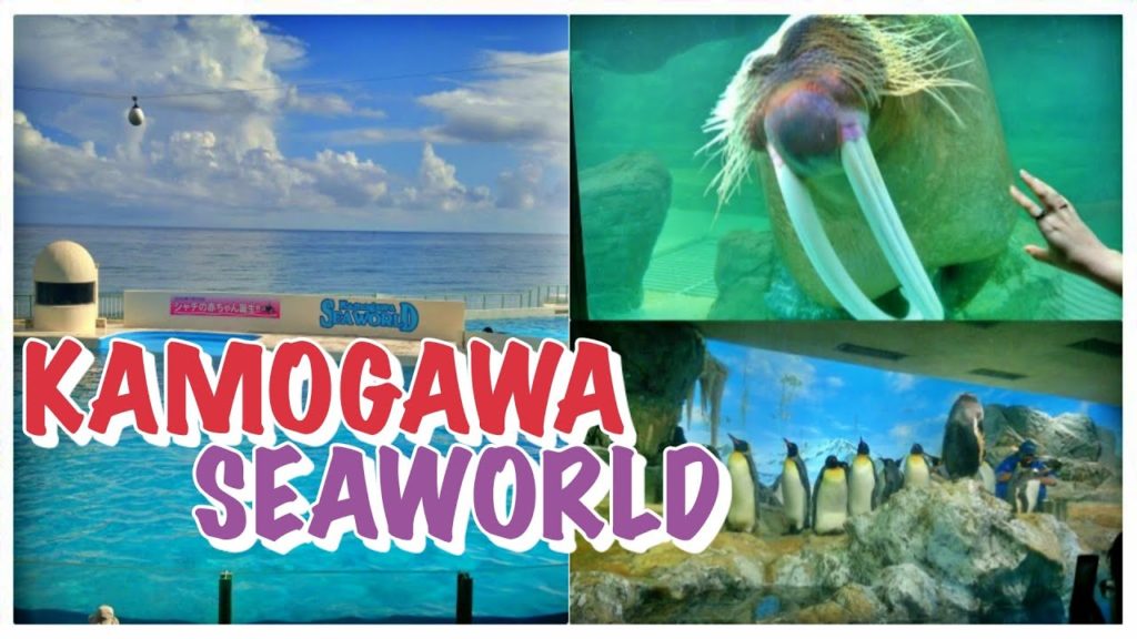 Kamogawa Sea World Part -2|| ChibaPrefecture