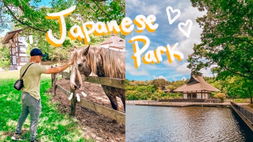 FEEDING JAPANESE HORSES IN MISAWA, JAPAN! FEEDING JAPANESE HORSES IN MISAWA, JAPAN!