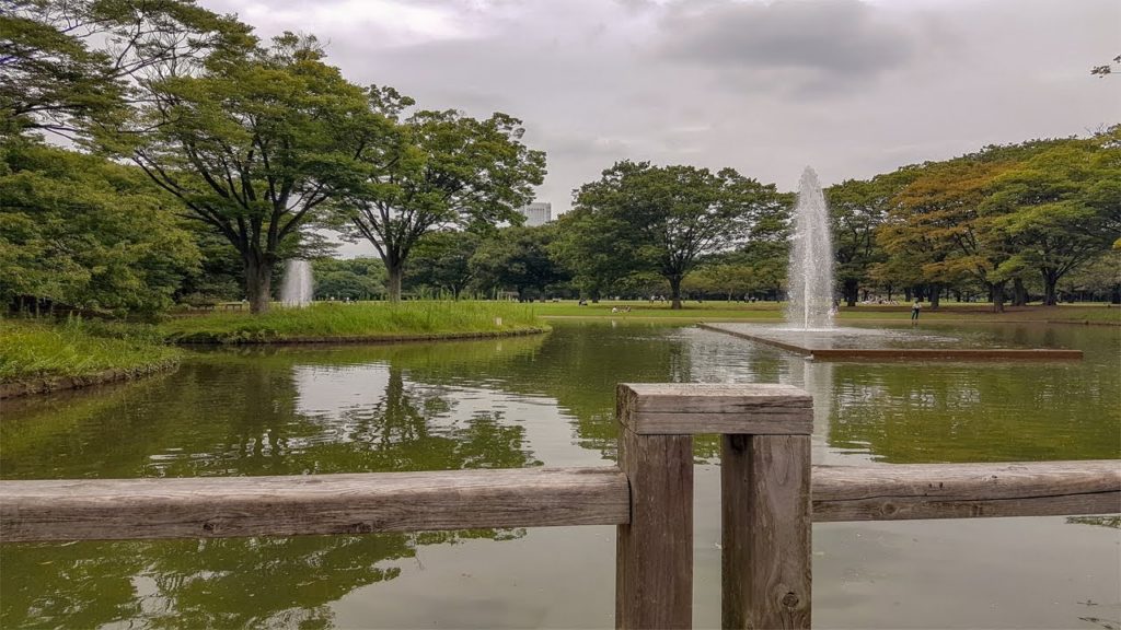 Yoyogi Park Water Fountain Japan