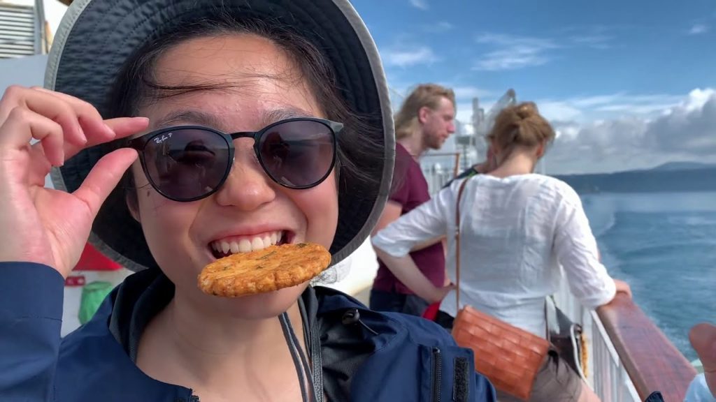 在 日 本 的 夏 天 (japan trip vlog trailer)