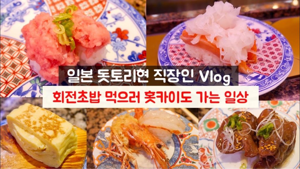 [ENG/日本語] 일본 직장인 vlog | 회전초밥 먹으러 홋카이도 갑니다 | 돗토리현 일상 브이로그🌸
