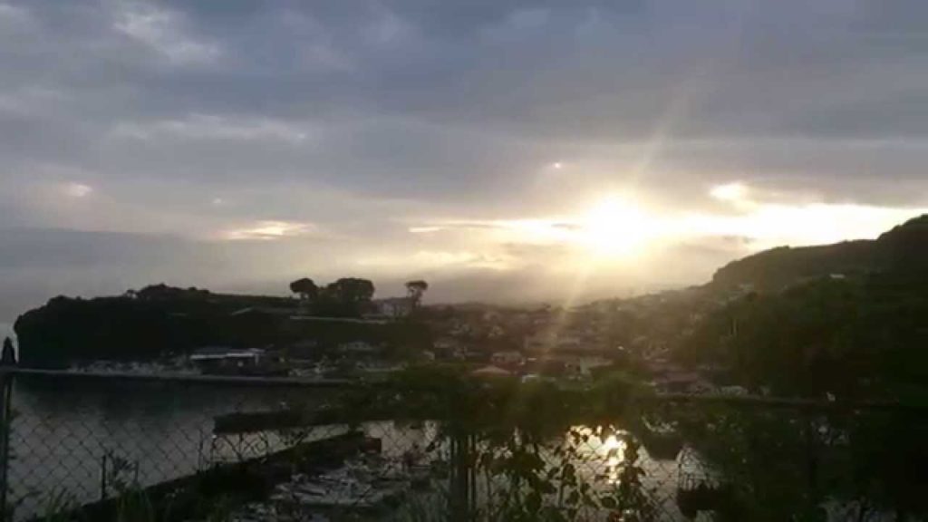 Unzen, Nagasaki JAPAN : Dragonfly Morning