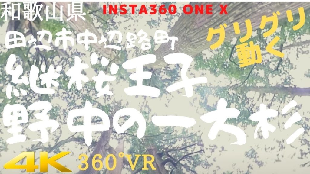 【4K360°VR】和歌山県 田辺市中辺路町 継桜王子 野中の一方杉 Kumano Kodo（Wakayama)