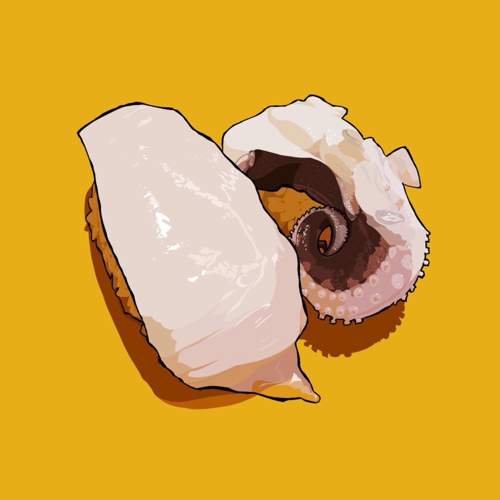Tako nigiri based on a photo I took the first time I had sushi in Japan