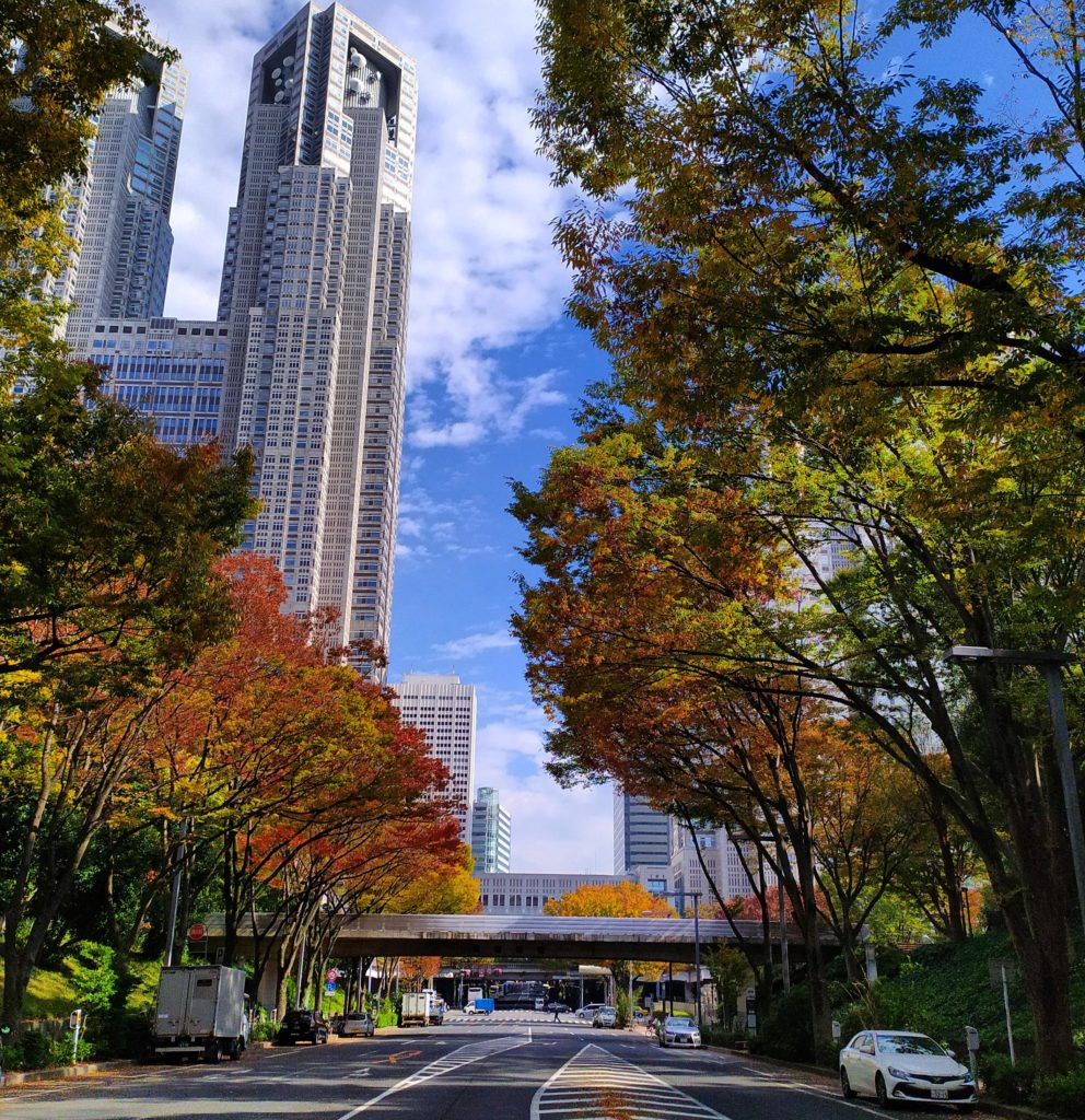 Tokyo Metropolitan Building Last Fall [OC]