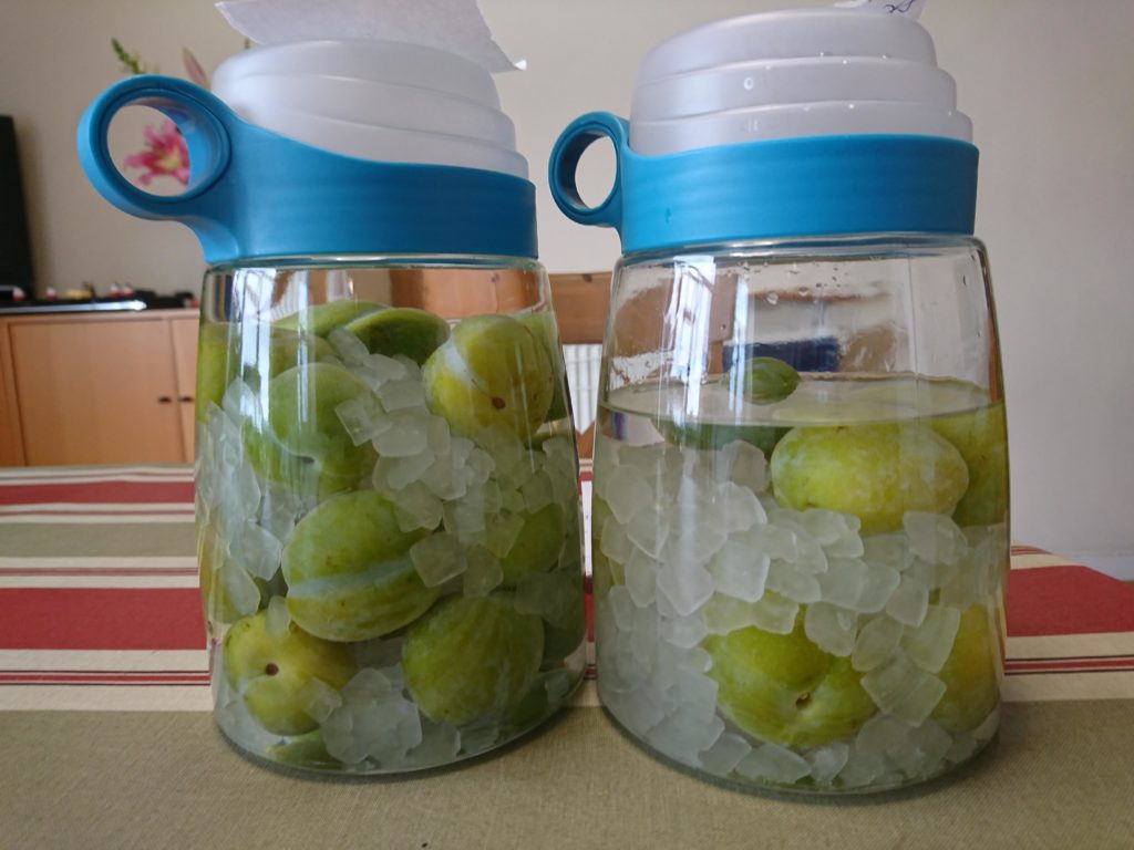 First time making umeshu. Let the fermentation commence. See you in the next year!