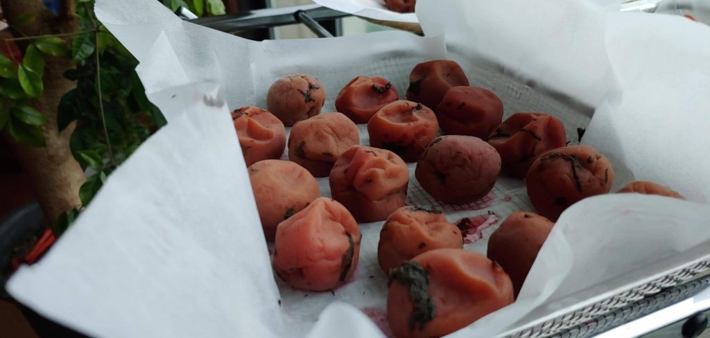 a few of our first time making ume boshi