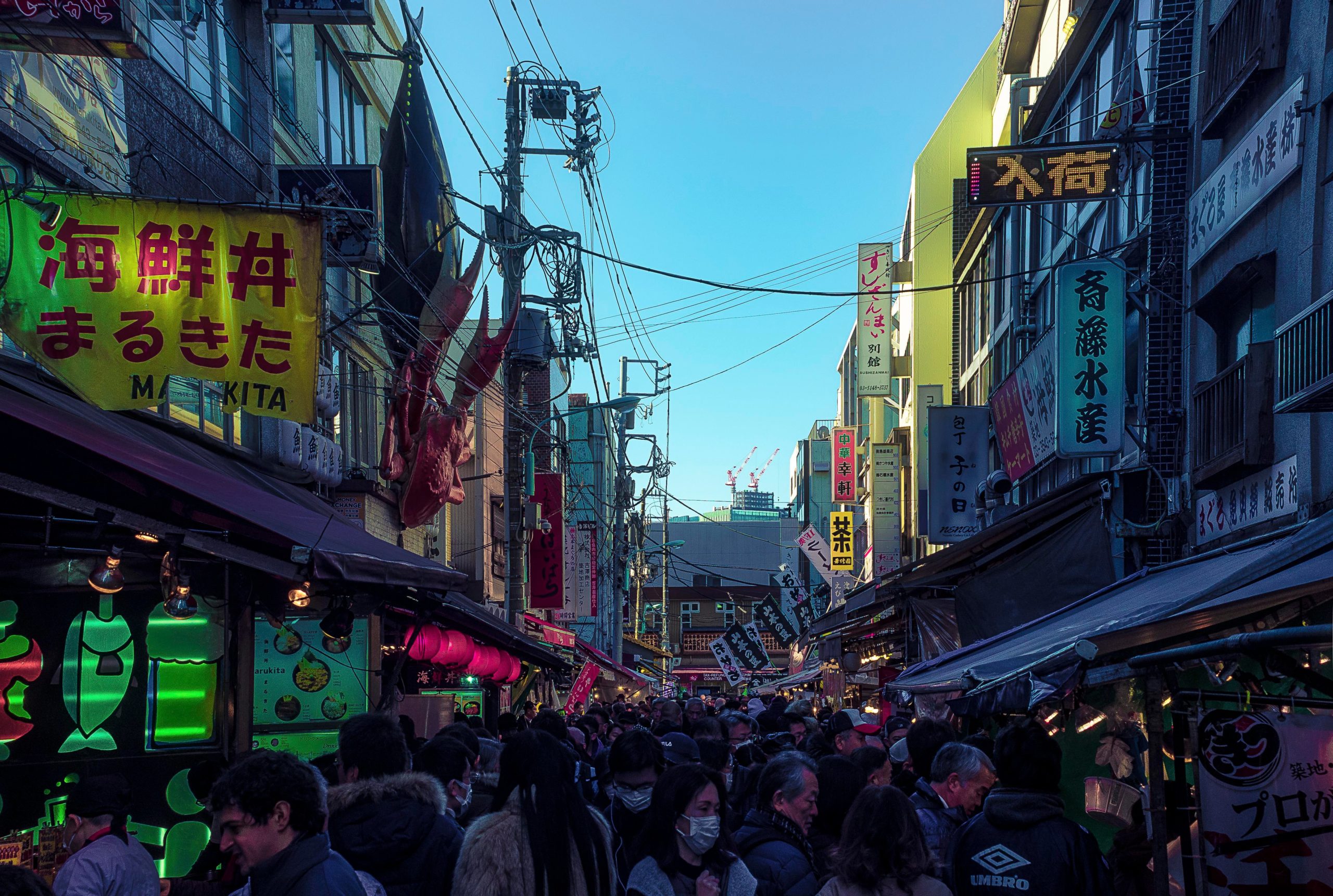 Tsukiji Market, Tokyo Alo Japan