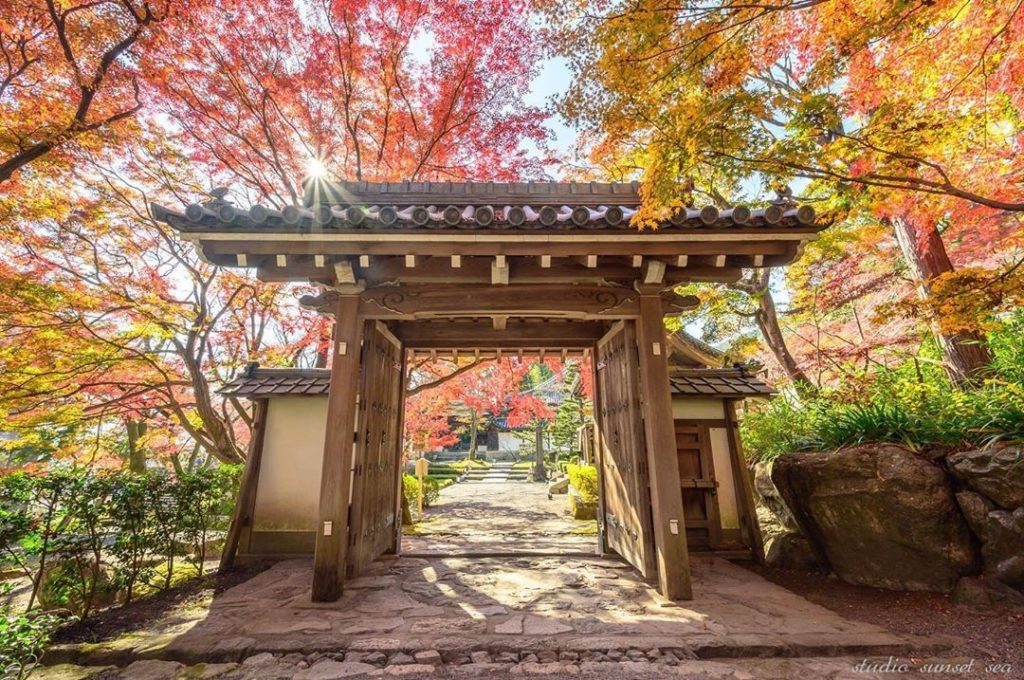 Look at how beautifully the autumn leaves compliment Saikyo-ji Temple in Shiga P...