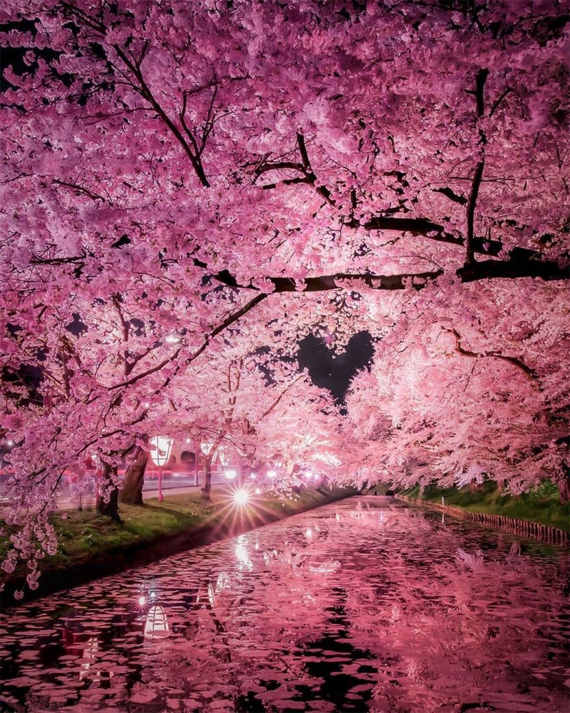 We try to keep things seasonal as much as possible on our feed, but sometimes a ...