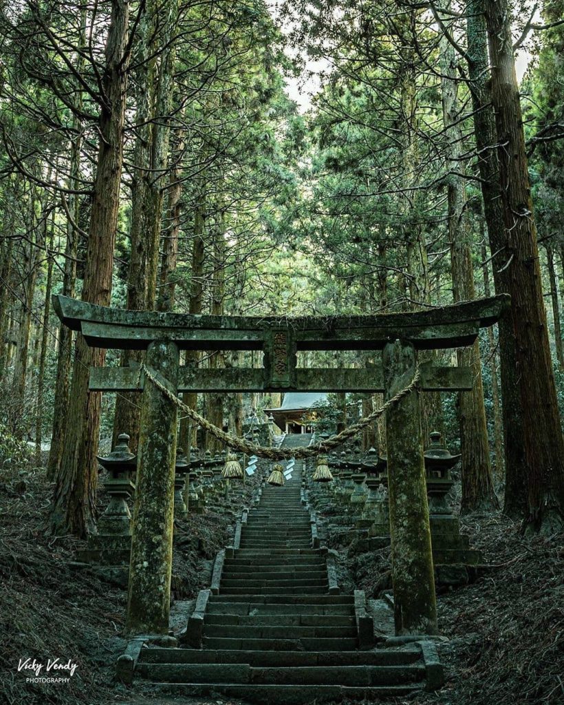 Tell us! What should you not leave Japan without experiencing, tasting or doing?...